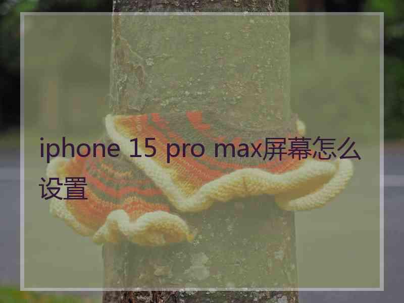 iphone 15 pro max屏幕怎么设置