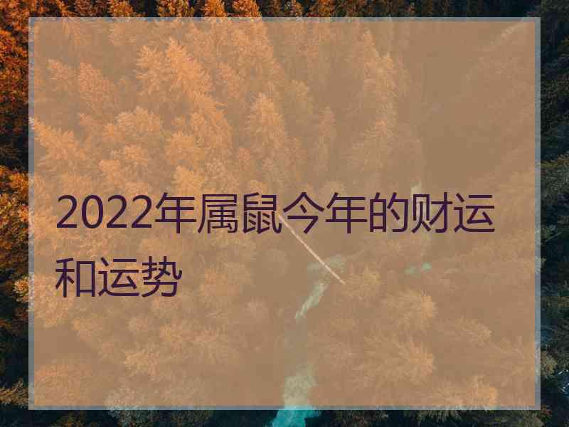 2022年属鼠今年的财运和运势