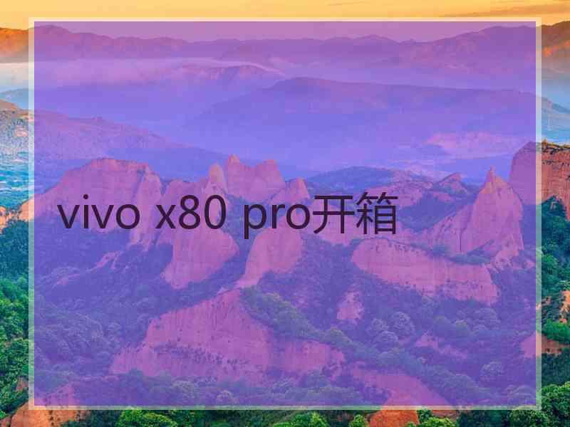 vivo x80 pro开箱