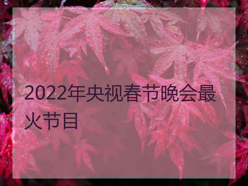 2022年央视春节晚会最火节目