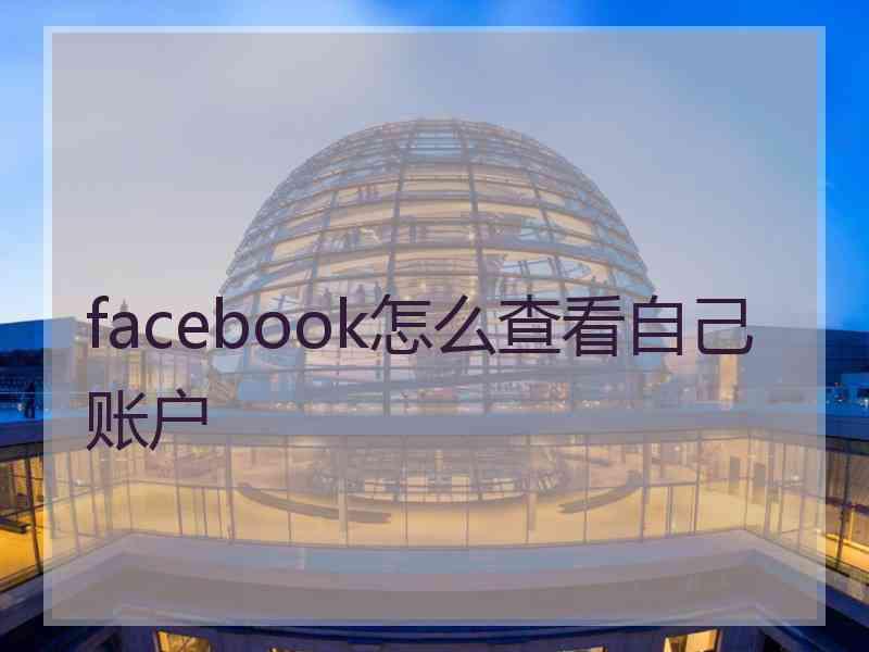 facebook怎么查看自己账户