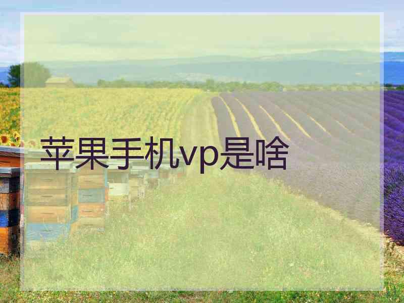 苹果手机vp是啥