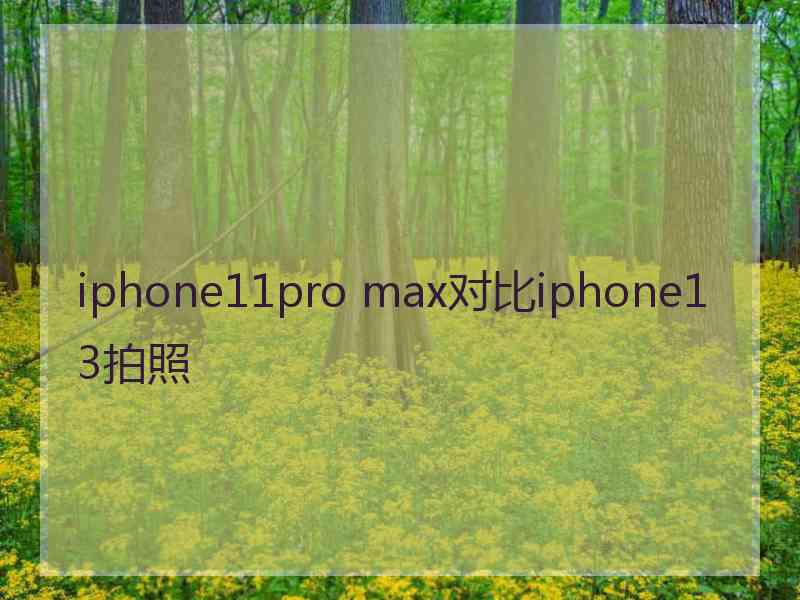 iphone11pro max对比iphone13拍照