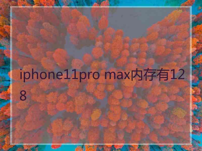 iphone11pro max内存有128