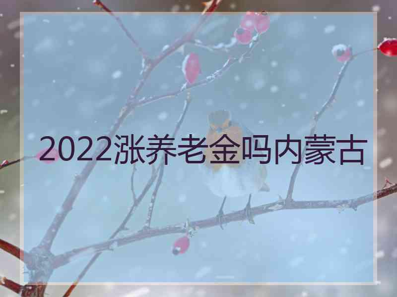 2022涨养老金吗内蒙古