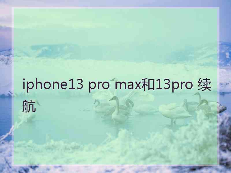 iphone13 pro max和13pro 续航