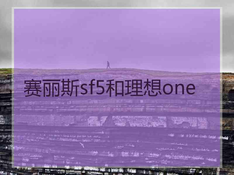 赛丽斯sf5和理想one