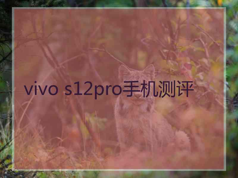 vivo s12pro手机测评