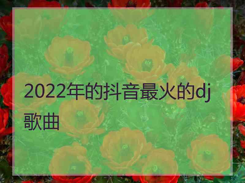 2022年的抖音最火的dj歌曲