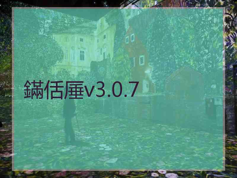 鏋佸厜v3.0.7