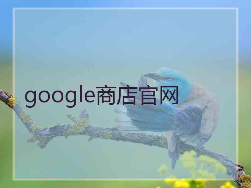 google商店官网