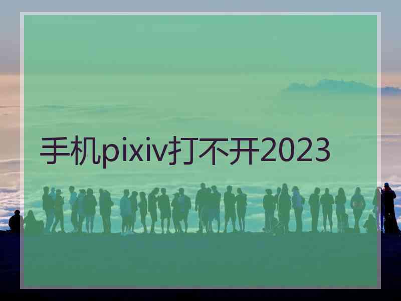 手机pixiv打不开2023