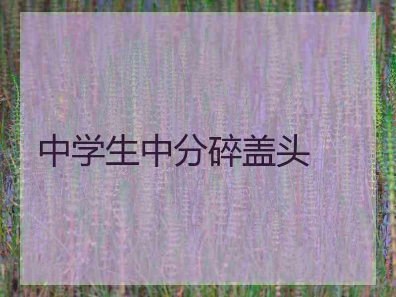 中学生中分碎盖头