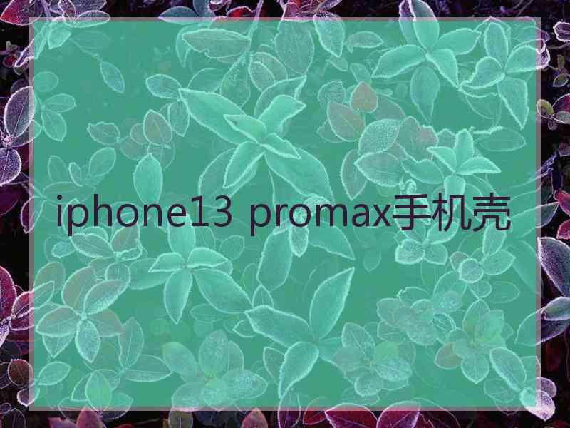 iphone13 promax手机壳