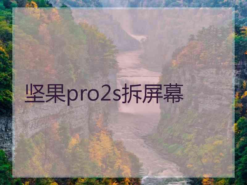 坚果pro2s拆屏幕