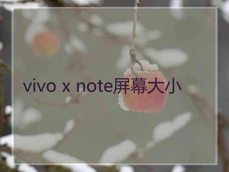 vivo x note屏幕大小