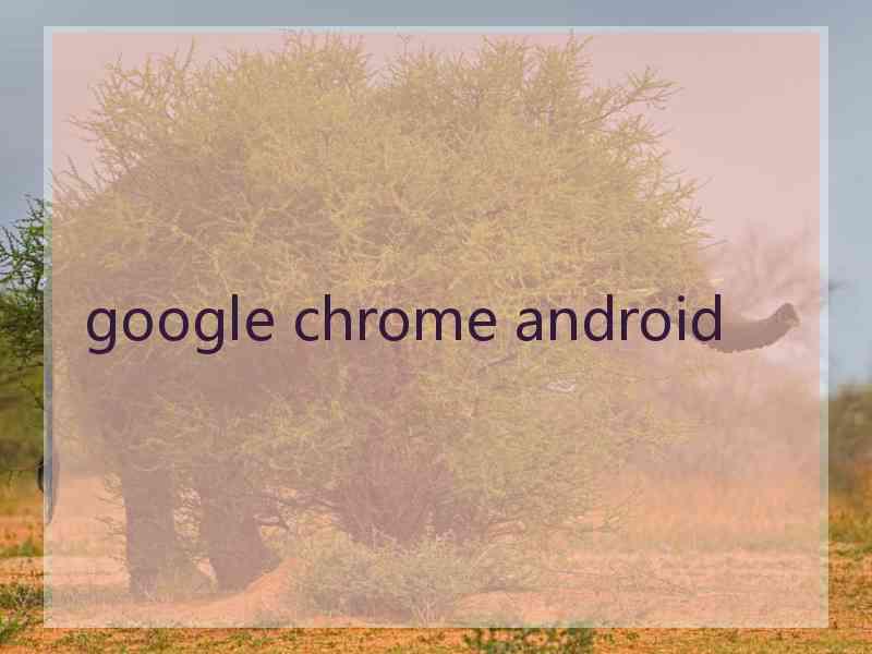 google chrome android