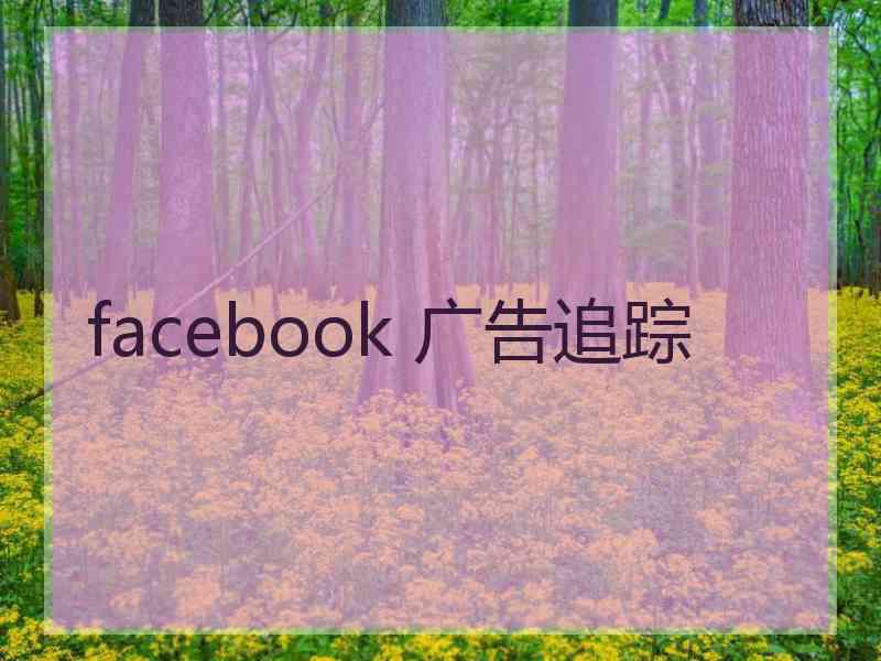 facebook 广告追踪