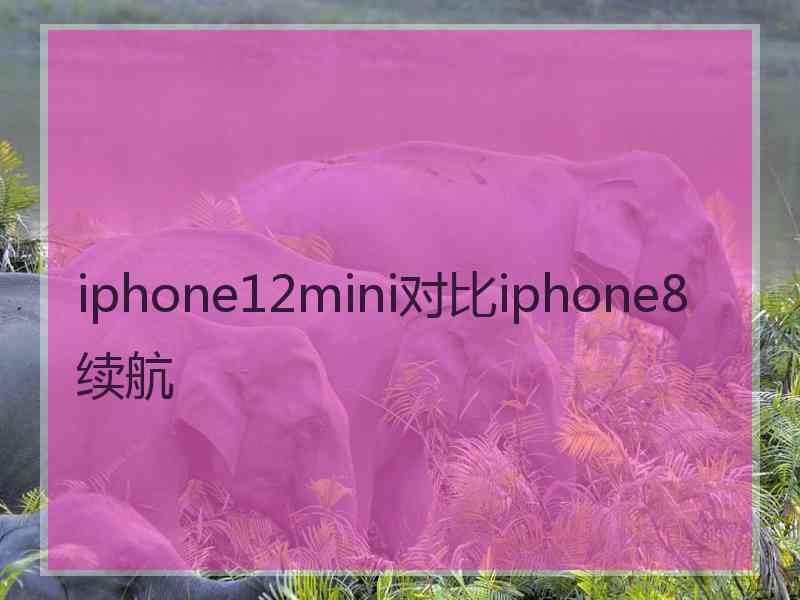 iphone12mini对比iphone8续航