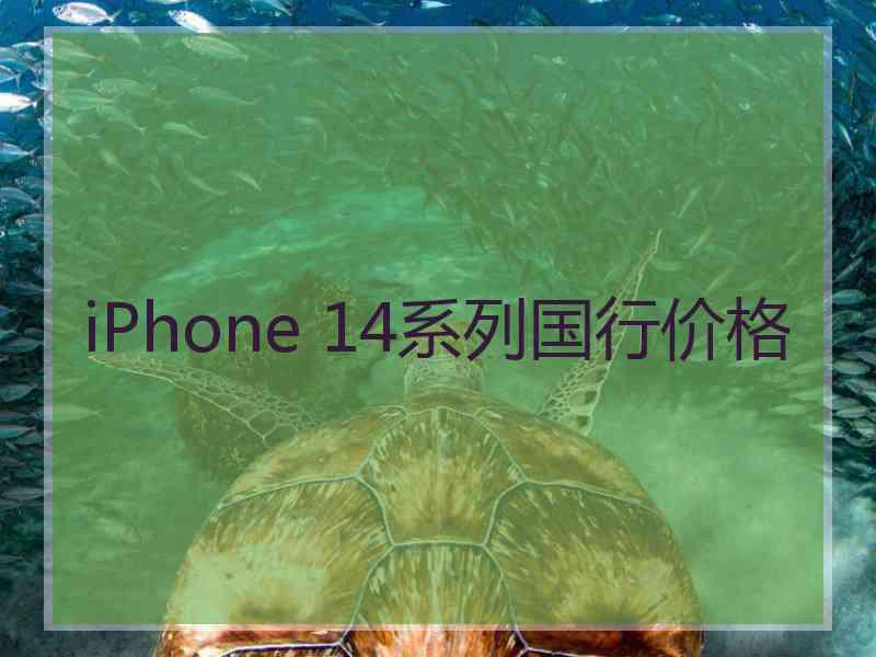 iPhone 14系列国行价格