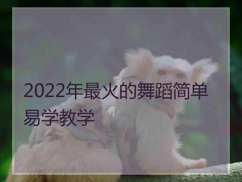 2022年最火的舞蹈简单易学教学