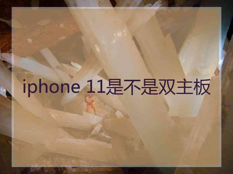 iphone 11是不是双主板