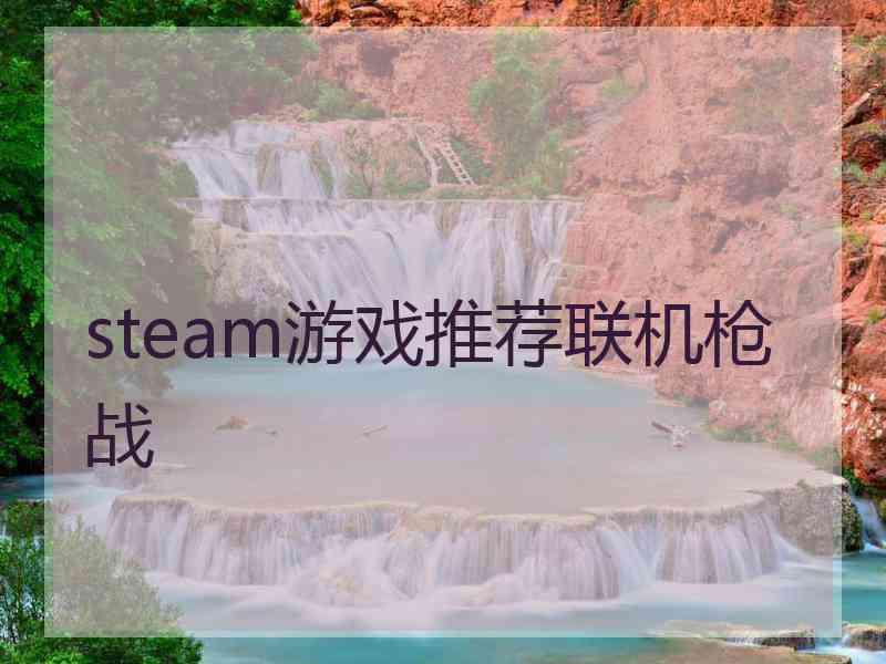 steam游戏推荐联机枪战