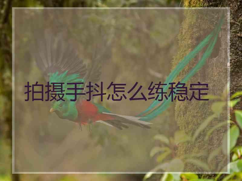 拍摄手抖怎么练稳定