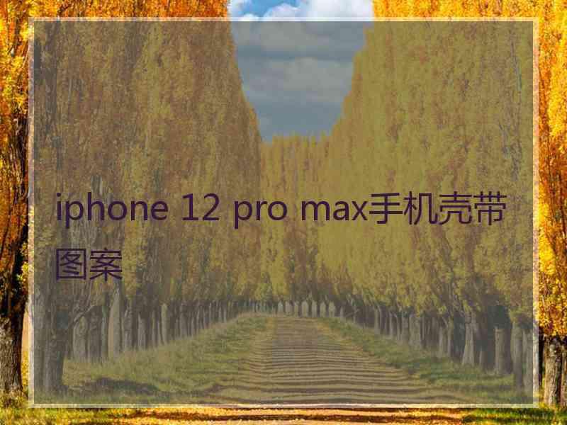 iphone 12 pro max手机壳带图案