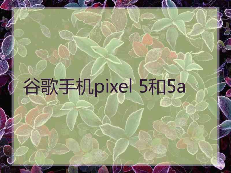 谷歌手机pixel 5和5a