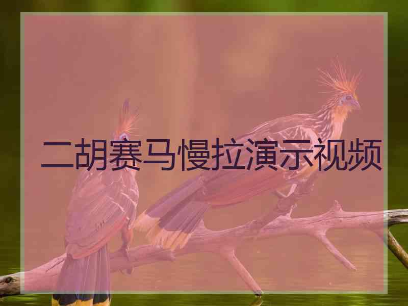 二胡赛马慢拉演示视频