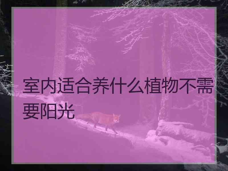 室内适合养什么植物不需要阳光