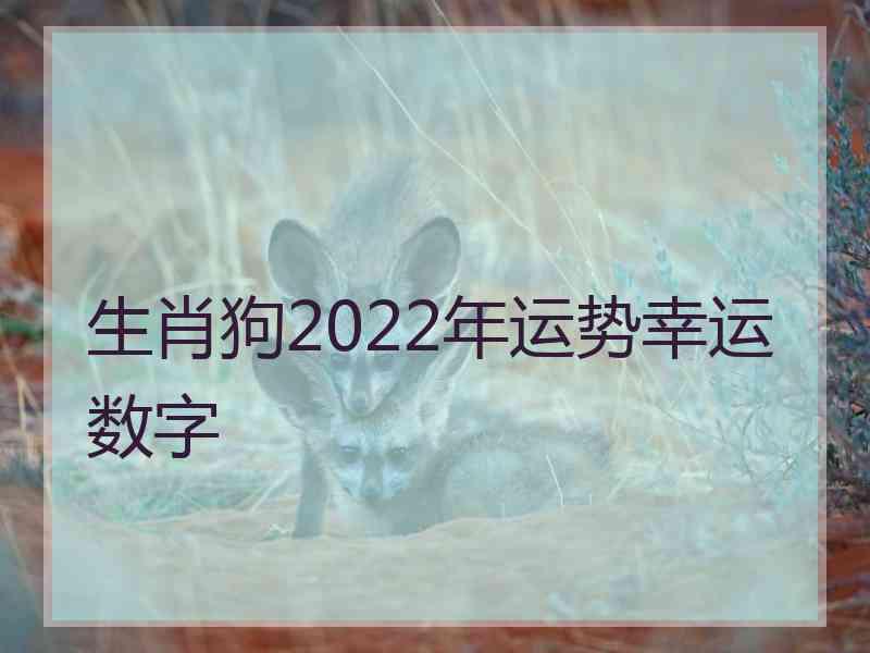 生肖狗2022年运势幸运数字