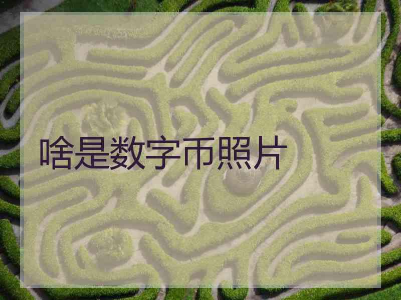 啥是数字币照片