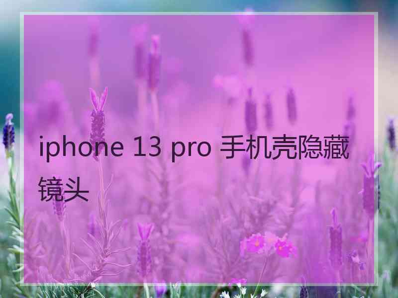 iphone 13 pro 手机壳隐藏镜头