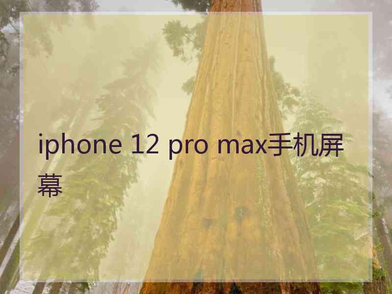 iphone 12 pro max手机屏幕