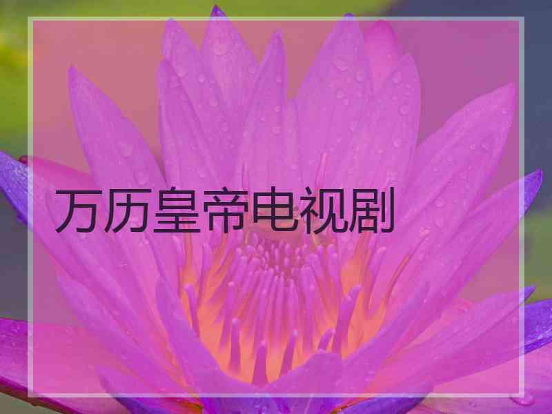 万历皇帝电视剧