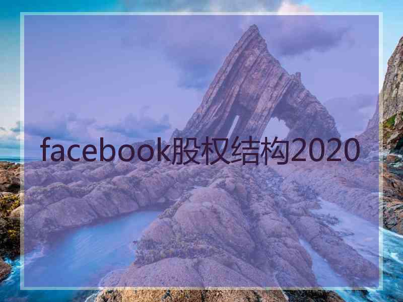 facebook股权结构2020