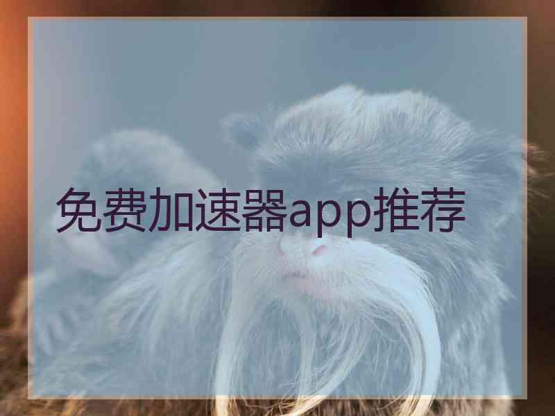 免费加速器app推荐