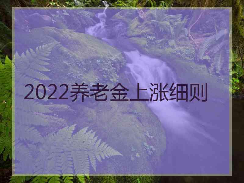 2022养老金上涨细则