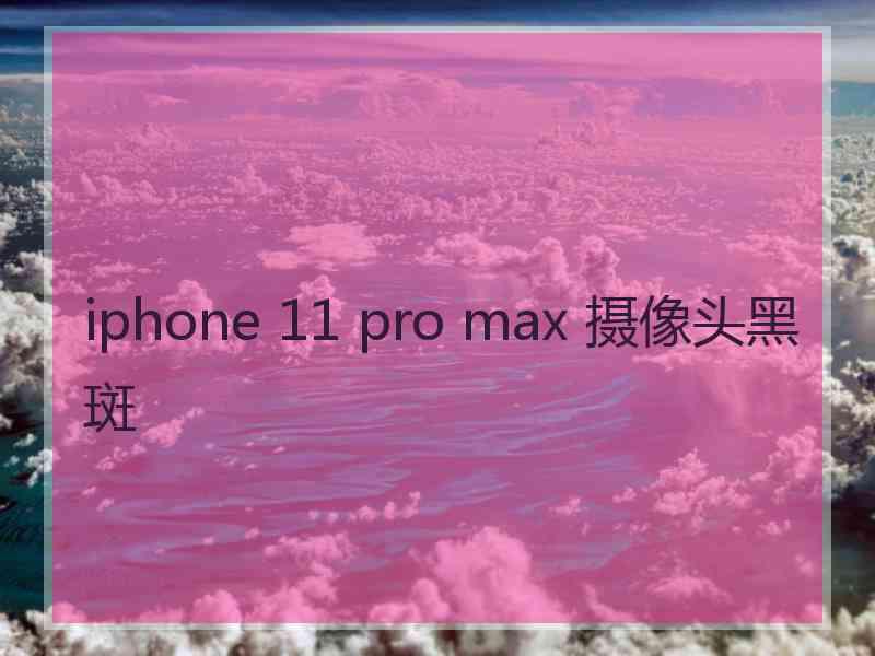 iphone 11 pro max 摄像头黑斑