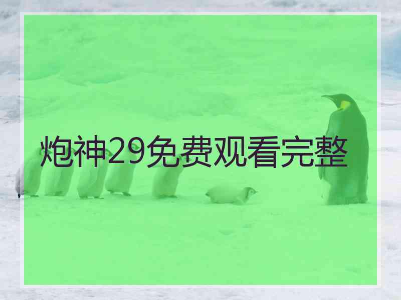 炮神29免费观看完整