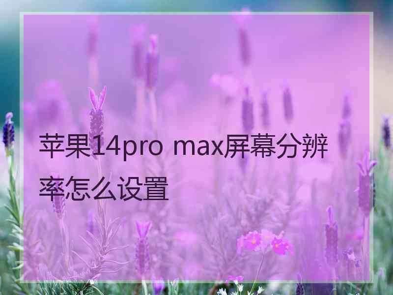 苹果14pro max屏幕分辨率怎么设置