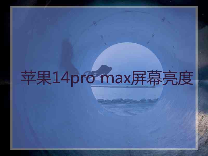 苹果14pro max屏幕亮度