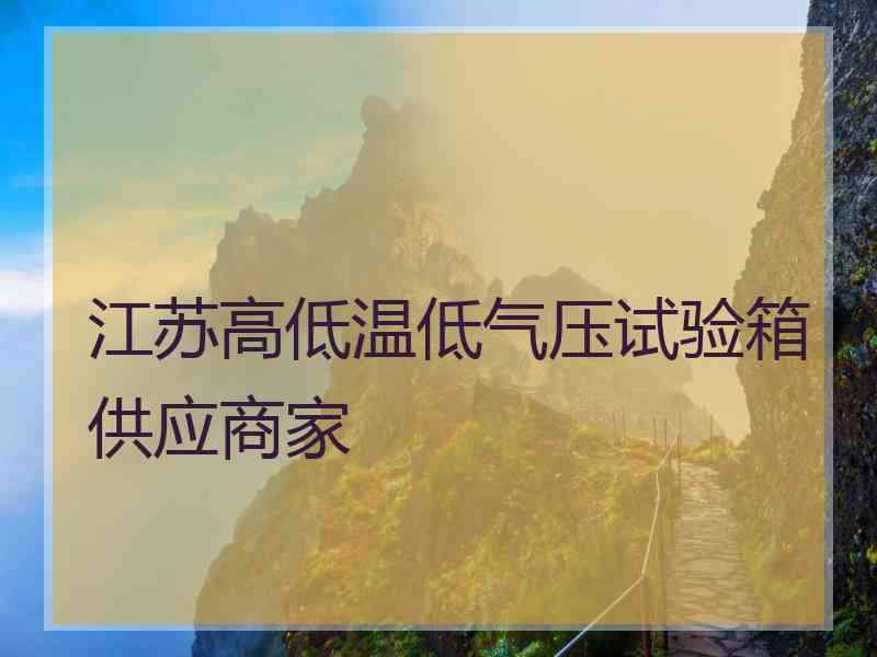 江苏高低温低气压试验箱供应商家