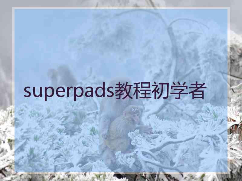 superpads教程初学者