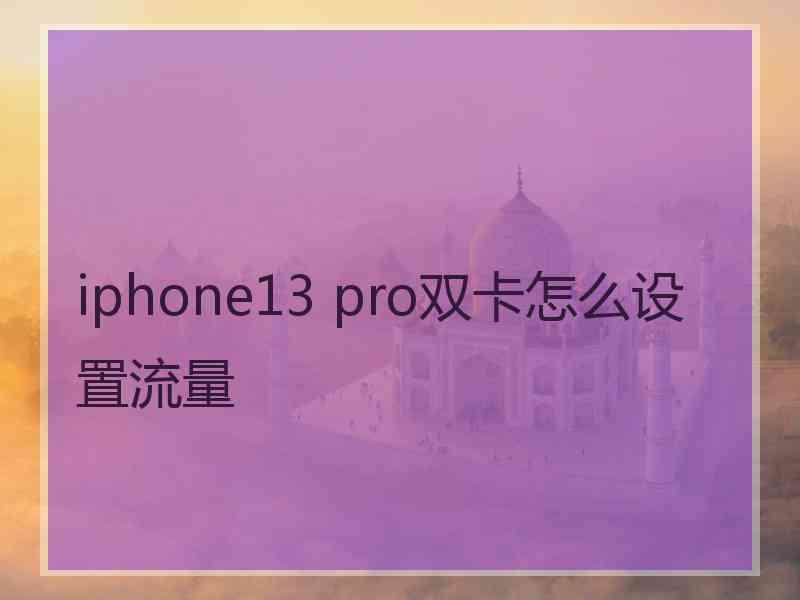 iphone13 pro双卡怎么设置流量