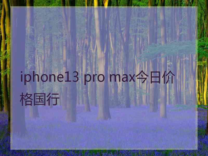 iphone13 pro max今日价格国行