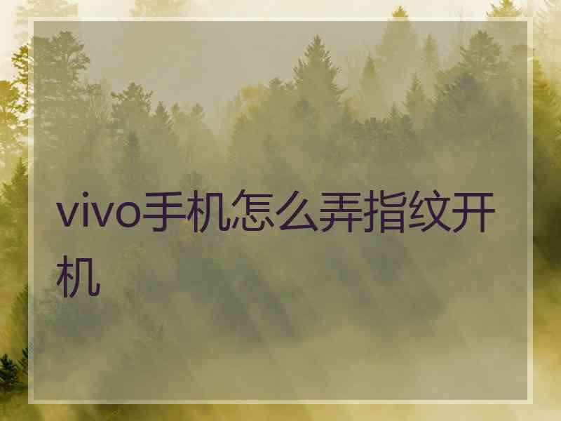 vivo手机怎么弄指纹开机