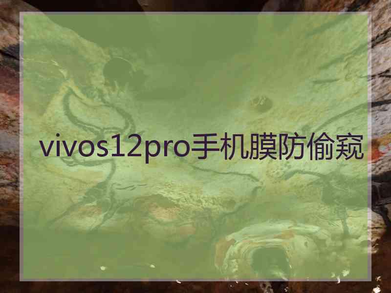 vivos12pro手机膜防偷窥